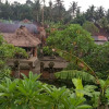 Отель Obama House Ubud, фото 6