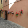 Отель Al Trentados, фото 10