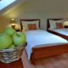Отель Eco friendly Hotel Dalia, фото 13