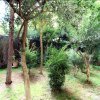 Отель Lovely Halldis With A Beautiful Private Garden в Риме