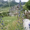 Отель Boga Alpine, фото 22