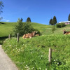 Отель Sehnsucht Allgäu, фото 13