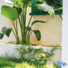 Отель Weizhou Island Summer Haiqing Homestay, фото 14