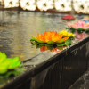 Отель Oriental Spring Resort Dalian, фото 8