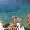 Отель Nikola - in Front of the sea - A1, фото 8