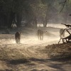 Отель Mwinilunga Safaris, фото 17