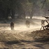 Отель Mwinilunga Safaris, фото 22