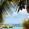 Отель Bonaire Seaside Apartments, фото 37