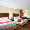 Отель Comfort Suites Mt. Juliet - Nashville Area, фото 5