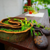 Отель Jeonju Aranggwol Hanok Pension, фото 8