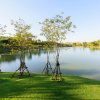 Отель The Gallery Khao Yai Hotel and Residence, фото 13