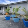 Отель Panama Beachfront Apartments Rarotonga, фото 13