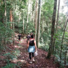 Отель Jungle View Homestay Bukit Lawang, фото 15
