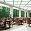 Отель Lia Chengdu Hotel, фото 14