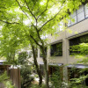 Отель Kurokawa Onsen Ryokan Ichinoi, фото 25
