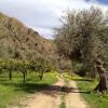 Отель Charming 1-bed Cottage in Cefalu, Sicily, Italy, фото 18