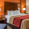 Отель Comfort Inn & Suites Lakeland North I-4, фото 17