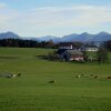 Отель Bauernhof Oberdürnberg, фото 13