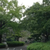 Отель Heart of Osaka, фото 8