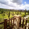 Отель San Giorgio Tosana Apartments, фото 36