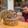 Отель Chessington Safari Hotel в Чессингтоне