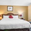 Отель Econo Lodge Inn & Suites, фото 26