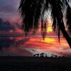 Отель Sunset Palms Rarotonga, фото 3