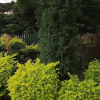 Отель Puma Garden and Suites, фото 18