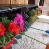 Отель Witty Please - cheerful studio apartment with balc - RNU 69315, фото 8