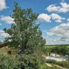 Отель Attractive Bungalow With a Terrace on a Hill in the Dordogne, фото 1