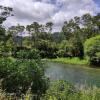 Отель Tarawera River Lodge/Motel, фото 41