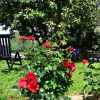 Отель Villa Barbetti, фото 23