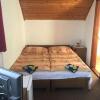 Отель Ilona Panzió, фото 3