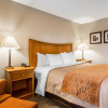 Отель Comfort Inn South - Springfield, фото 3