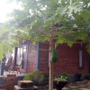 Отель Sekumpul Accommodation, фото 25