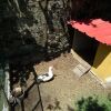 Отель Casa Rosinha Maior, фото 12