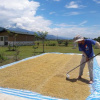 Отель Kelly Field Homestay, фото 29