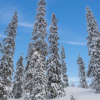 Отель Holiday Home Vuosselinranta b, фото 1