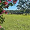 Отель Curra Homestead Maleny, фото 15