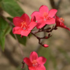 Отель Gite L'anarcadier, фото 29