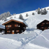 Отель Alphütte Bielerchäller, фото 9