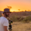Отель Rockfig Lodge Madikwe, фото 22