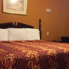Отель Economy Inn, фото 4