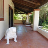 Отель Lavish Mansion Only 20 Minutes From Ibiza Town, фото 13