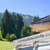 Отель Chalet Carnauba - Alpine Descents в Шателе