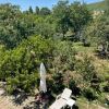 Отель City Garden escape, фото 10