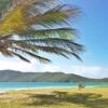 Отель The Reef Beach Huts, фото 15