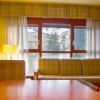 Отель Apartamentos MultiBaqueira, фото 7