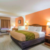 Отель Econo Lodge Inn & Suites, фото 2