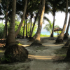 Отель Cross Bill Beach Resort, фото 1